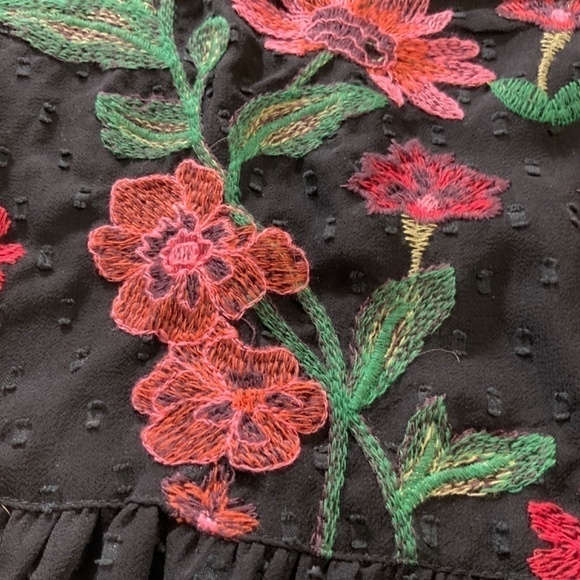 American EAGLE OUTFITTERS Sheer Black Embroidered Peplum Top Fully Lined Sz XS - Picture 10 of 12